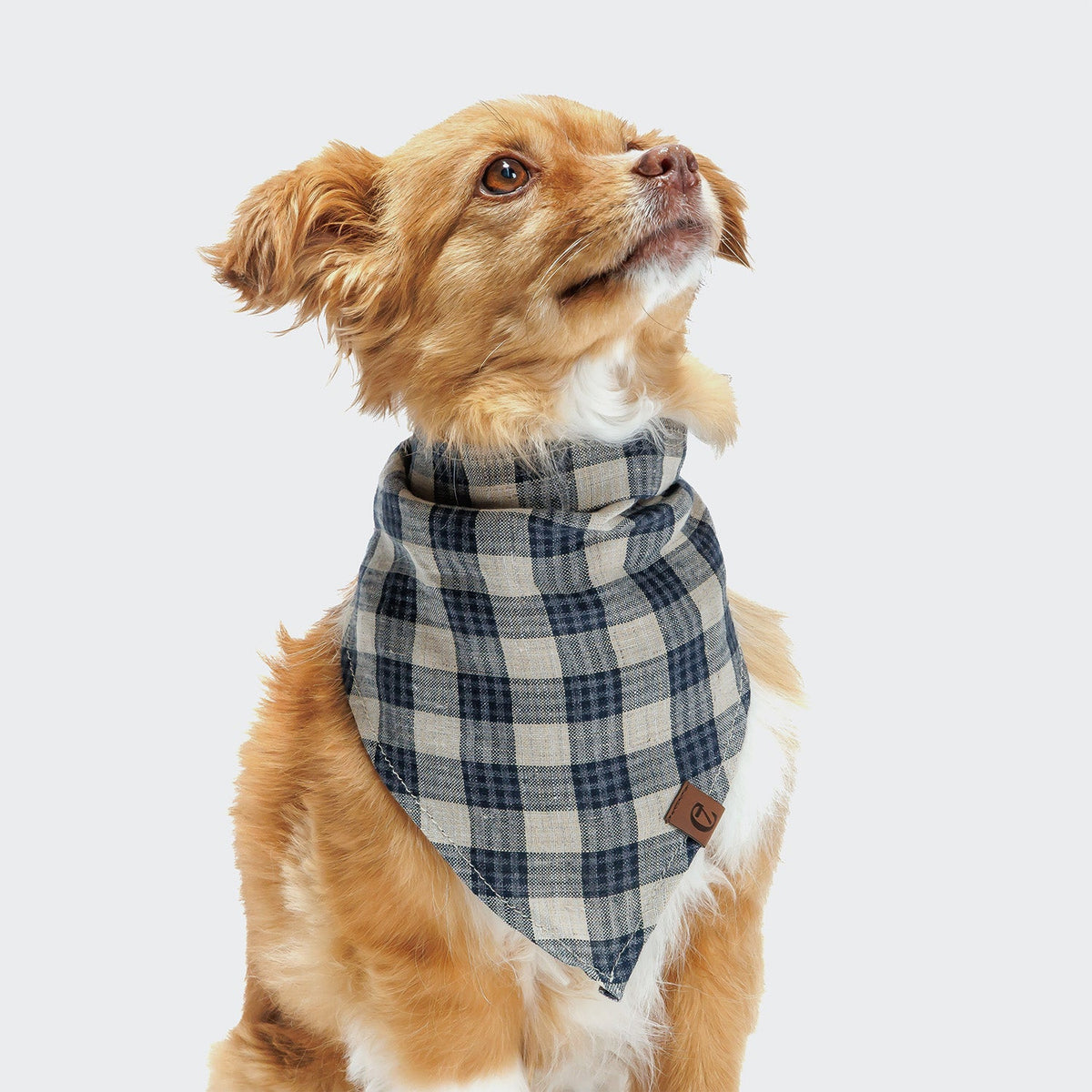 Dog Bandana Check Dark Blue - Beige product image