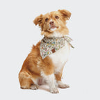 Dog Bandana Flower Squares product image