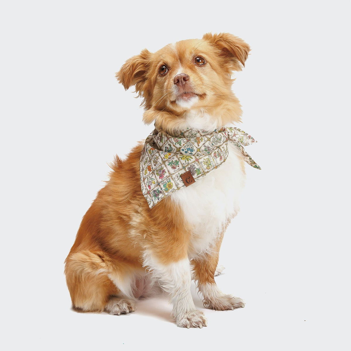 Dog Bandana Flower Squares product image