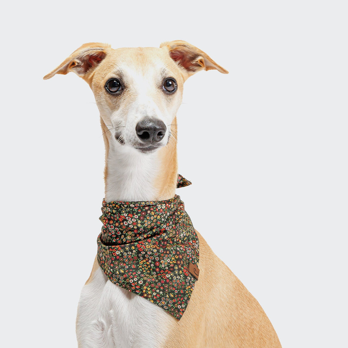 Dog Bandana Botanical Night product image