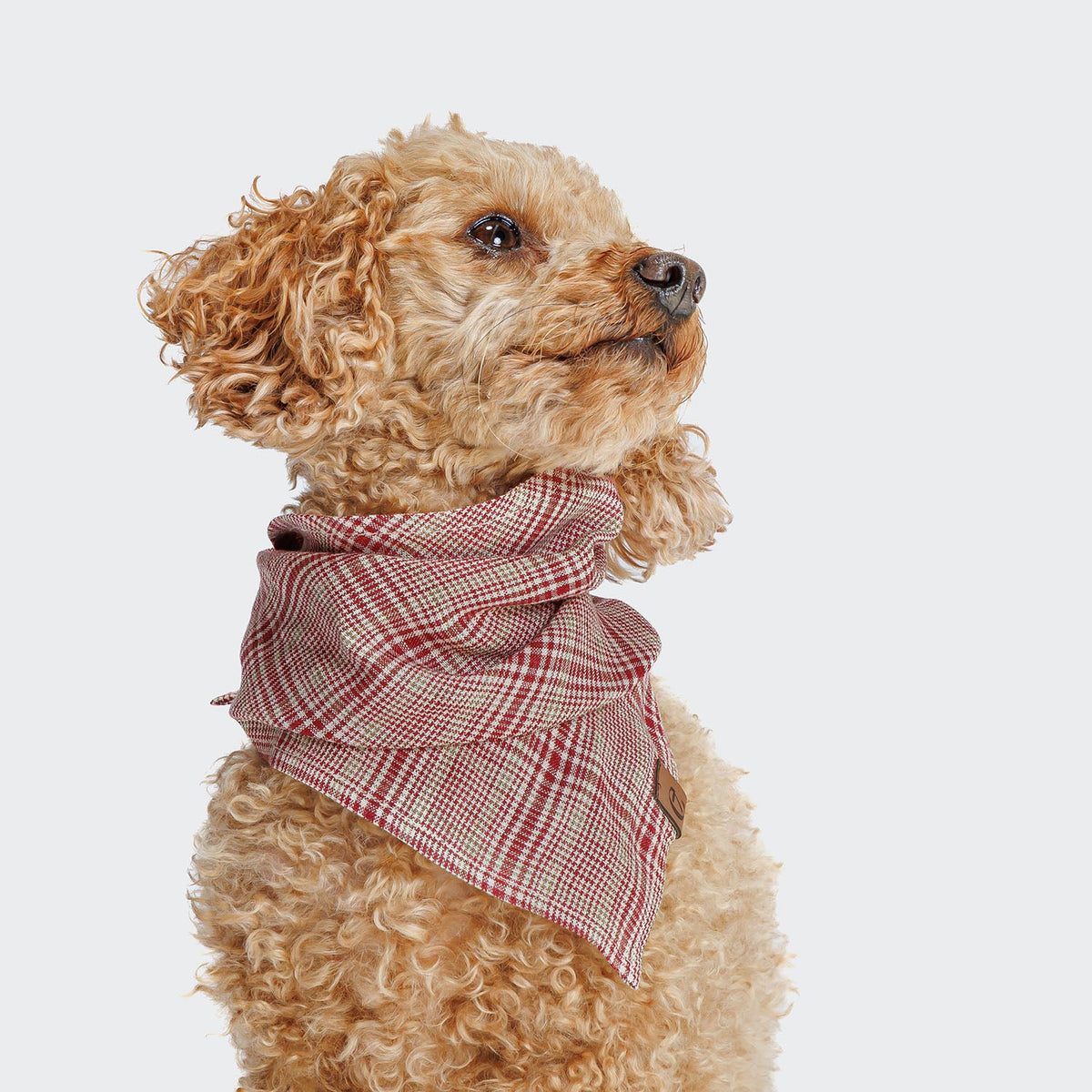 Dog Bandana Check Red - Light Green product image