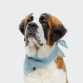 Dog Bandana Mini Check Blue product image