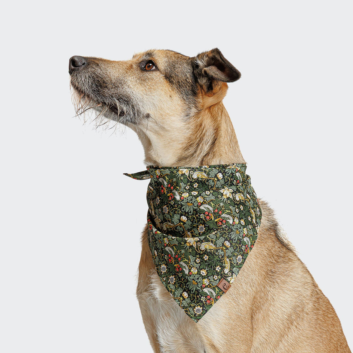 Dog Bandana Strawberry Thief product image