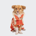 Dog Bathrobe Wannsee Stripes product image