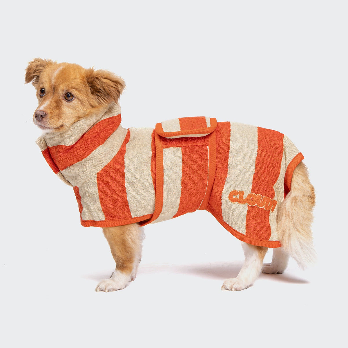 Dog Bathrobe Wannsee Stripes product image
