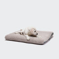 Dog Bed Siesta Teddy product image