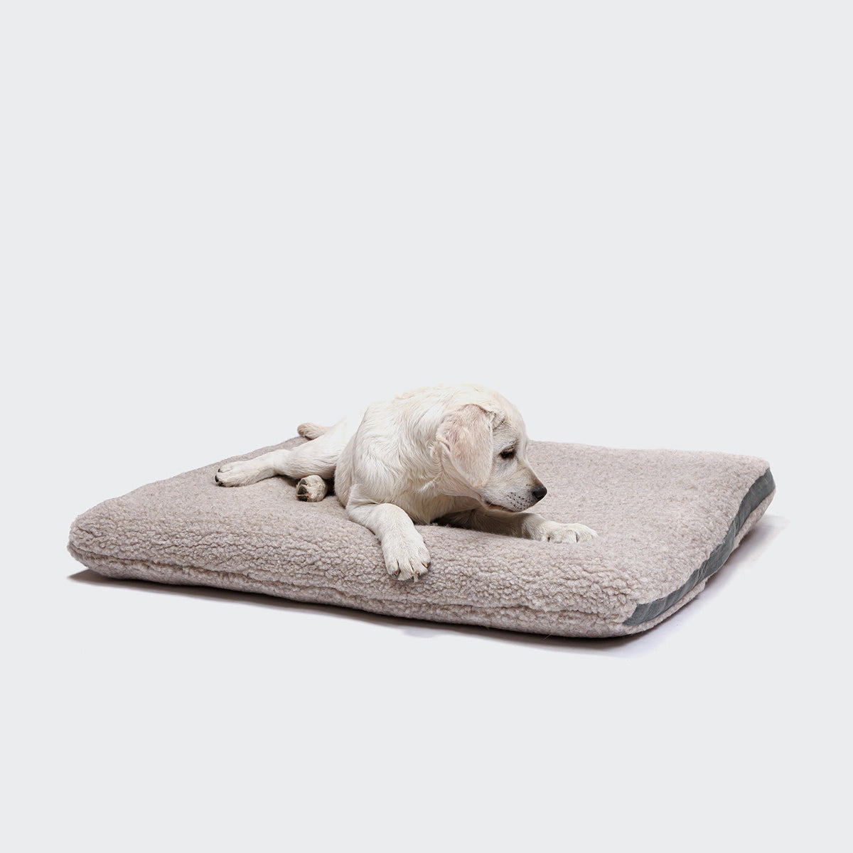 Dog Bed Siesta Teddy product image