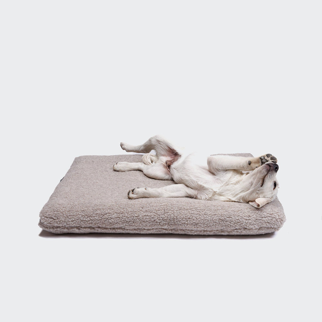 Dog Bed Siesta Teddy product image