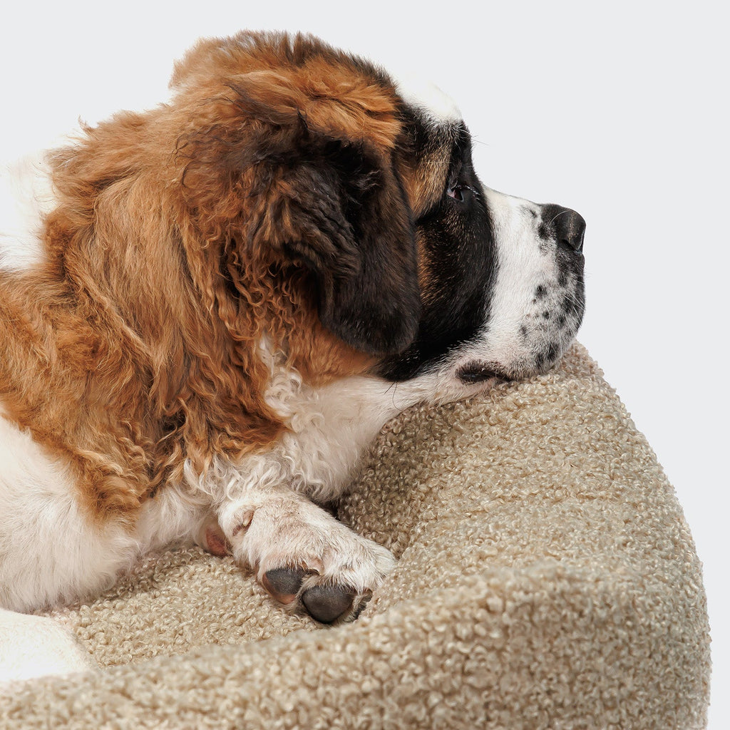 Dog Bed Sleepy Deluxe Curl Cream product image