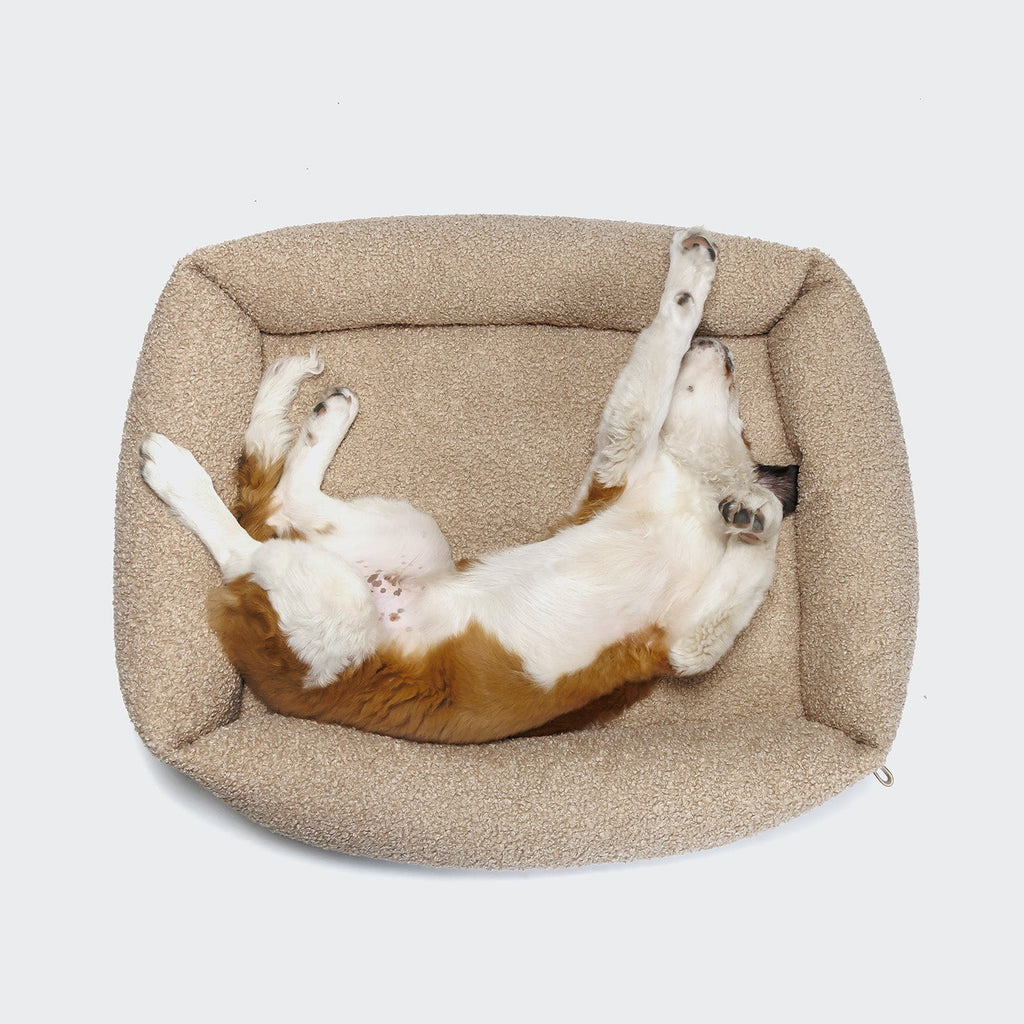 Dog Bed Sleepy Deluxe Curl Cream product image