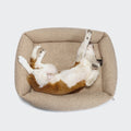 Dog Bed Sleepy Deluxe Curl Cream product image