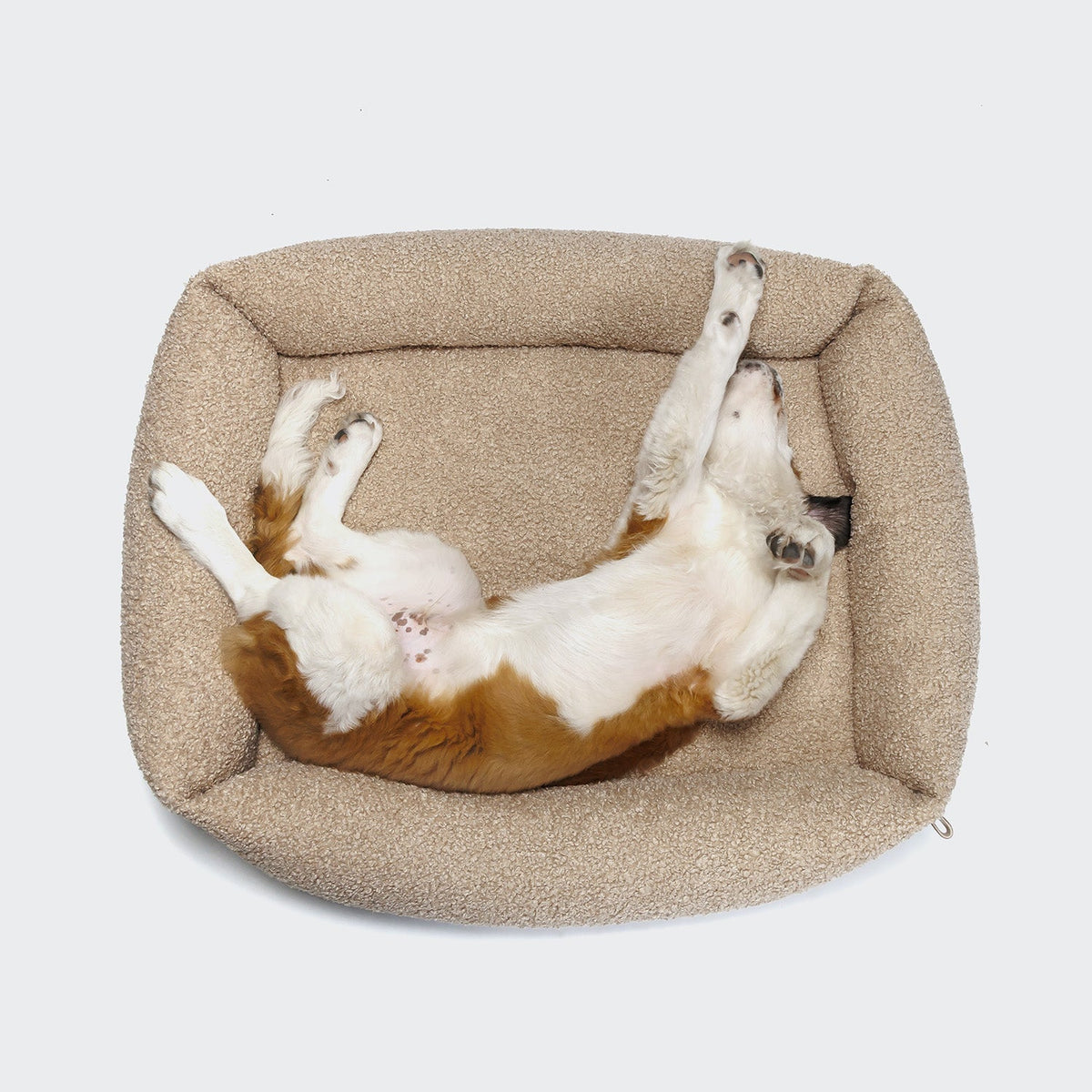 Dog Bed Sleepy Deluxe Curl Cream product image