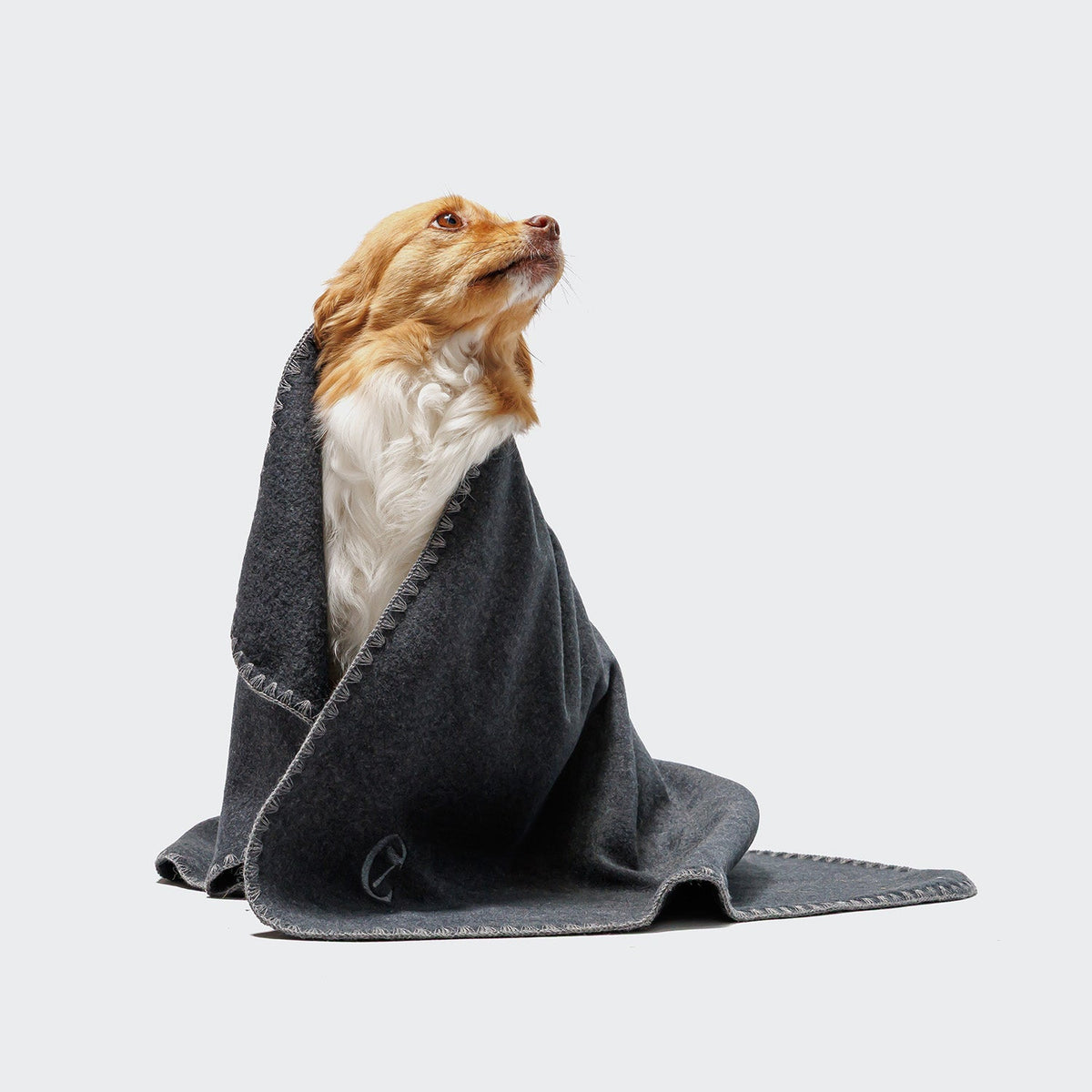 Dog Blanket Fleece Dark Grey product image
