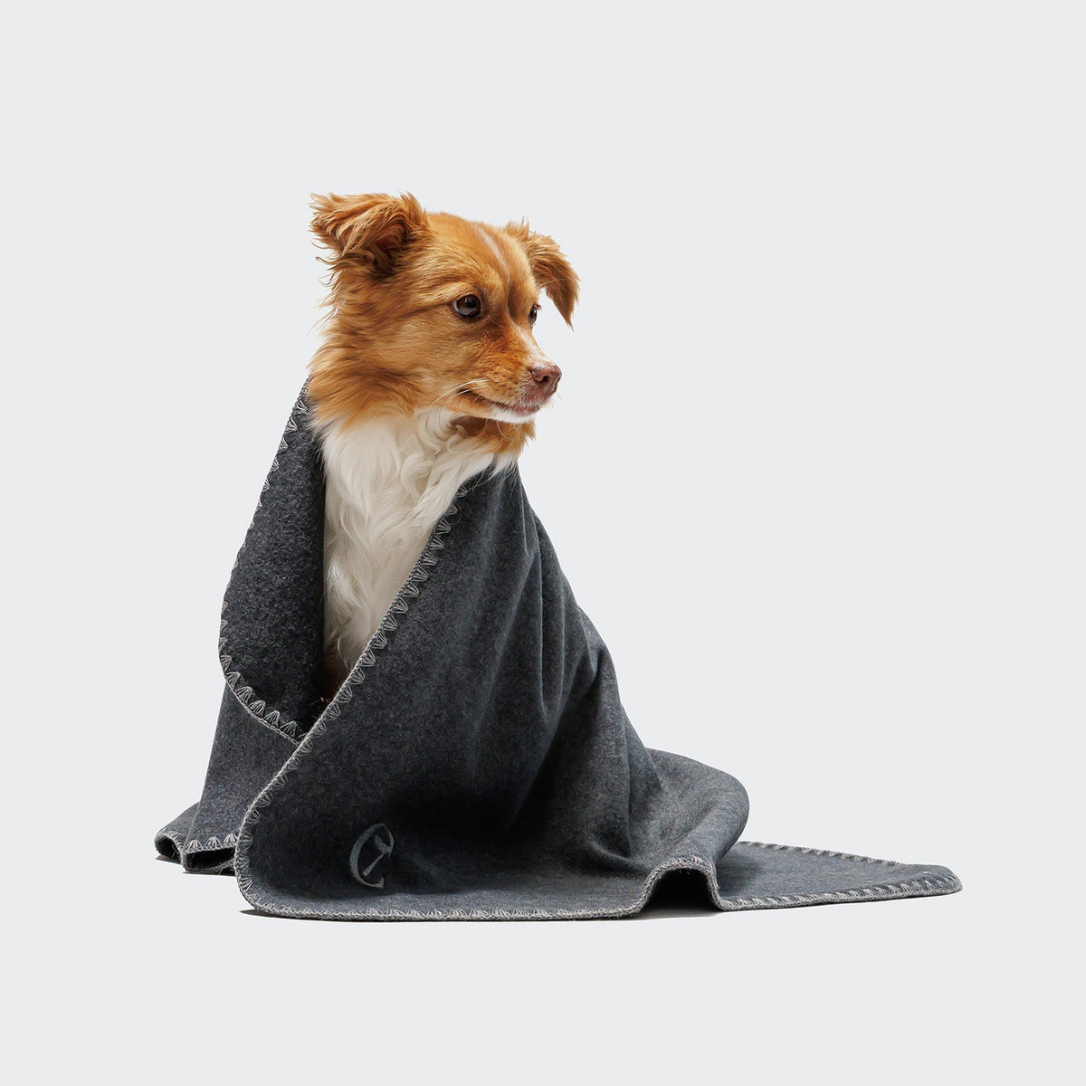 Dog Blanket Fleece Dark Grey product image