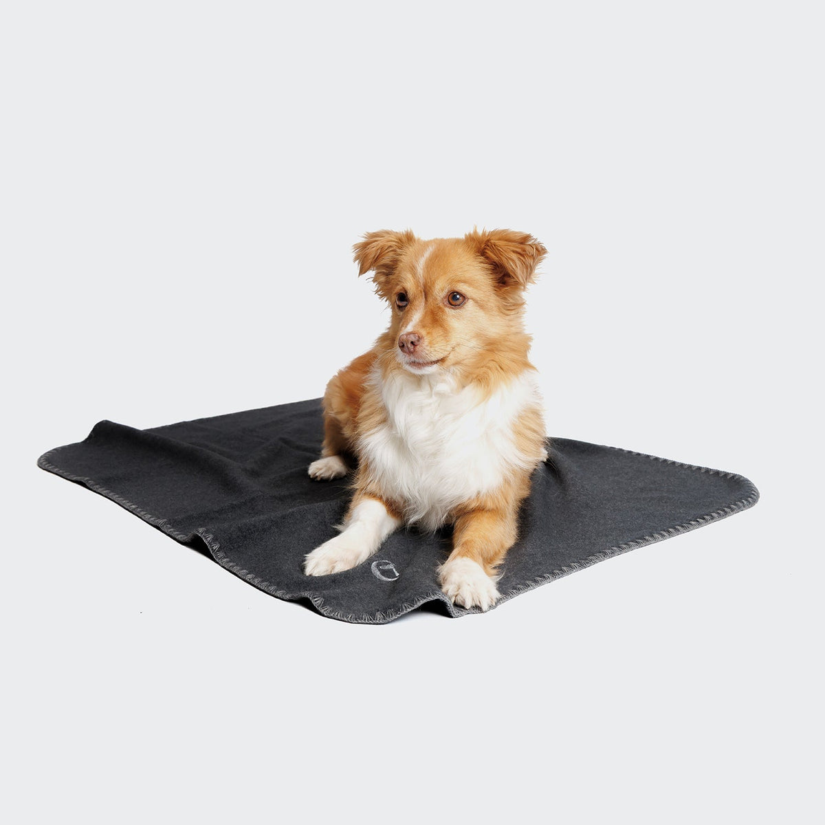 Dog Blanket Fleece Dark Grey product image