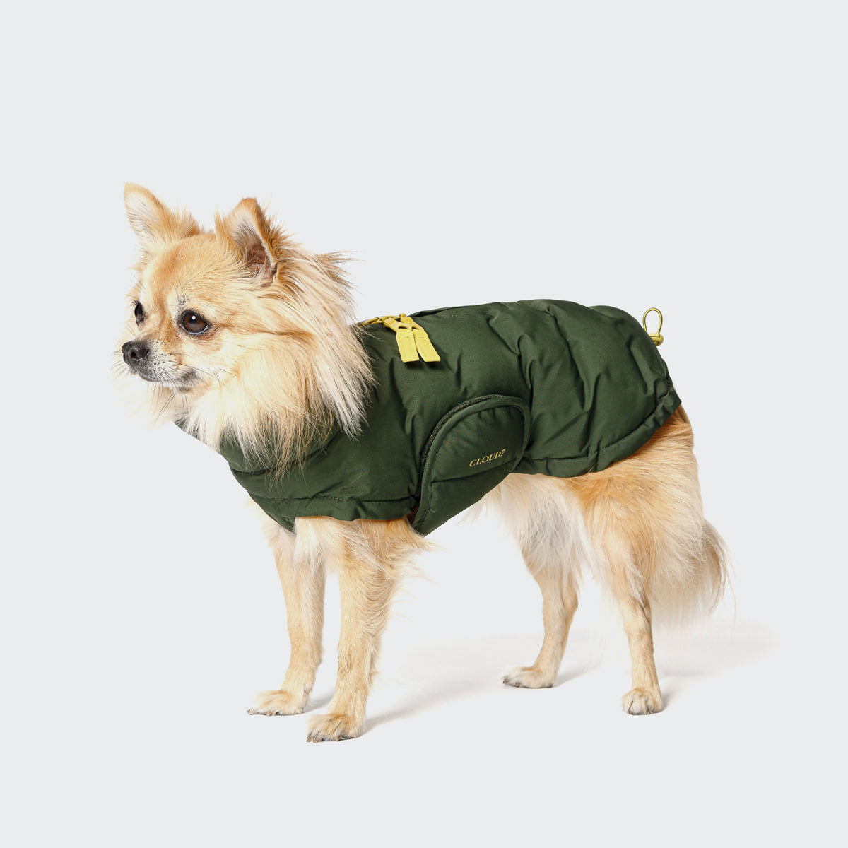 Dog Coat Alaska PRO Olive product image