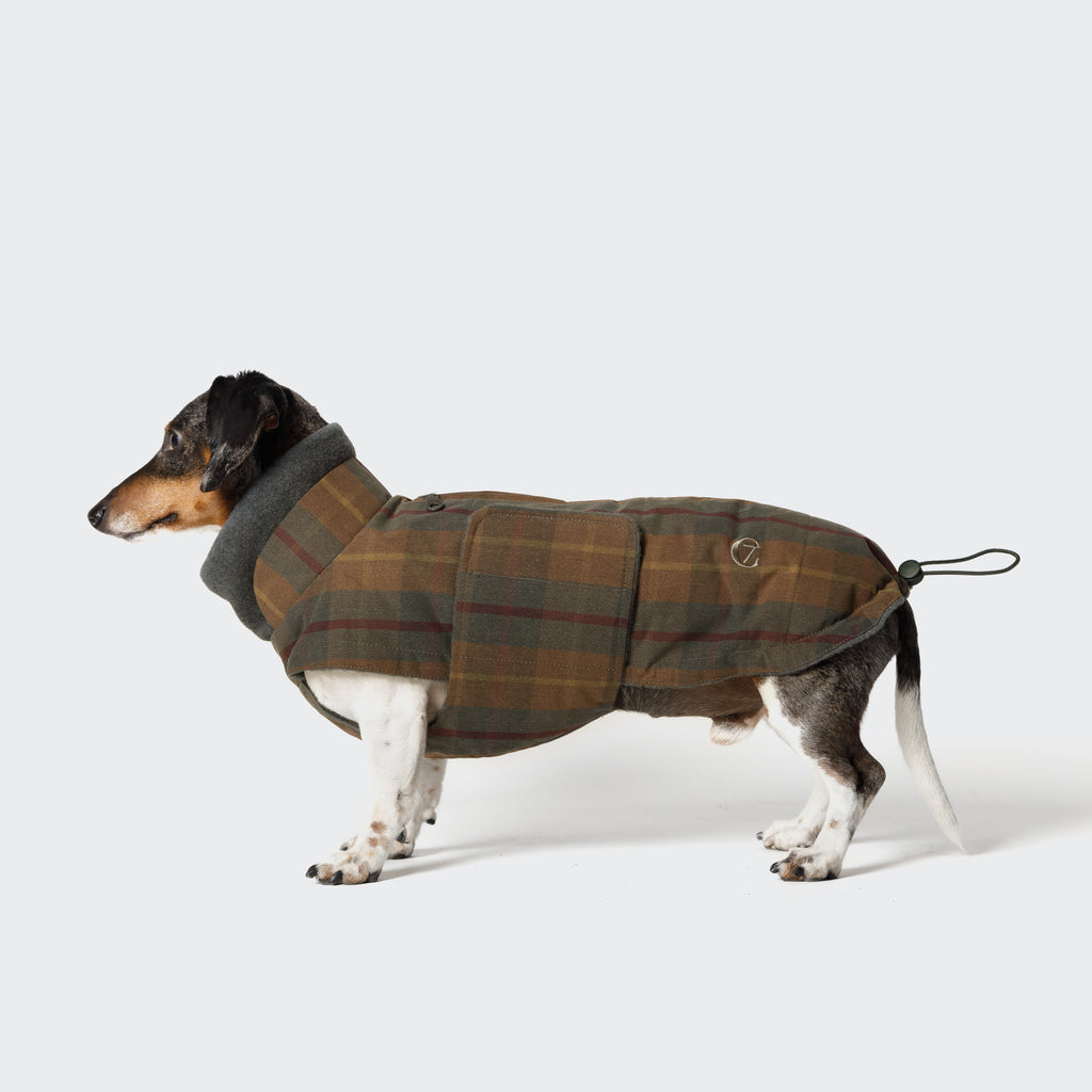 Dachshund Coat Brooklyn Waxed Tartan product image