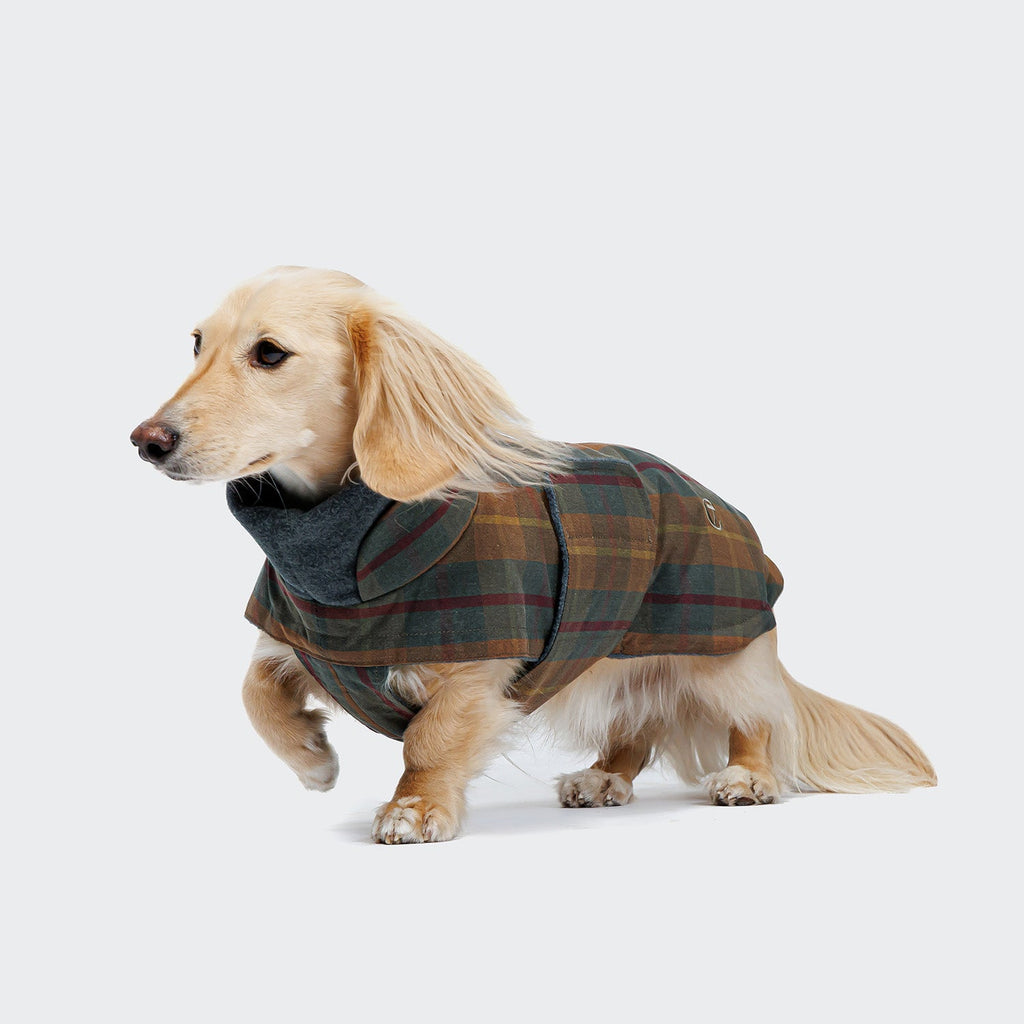 Dachshund Coat Brooklyn Waxed Tartan product image