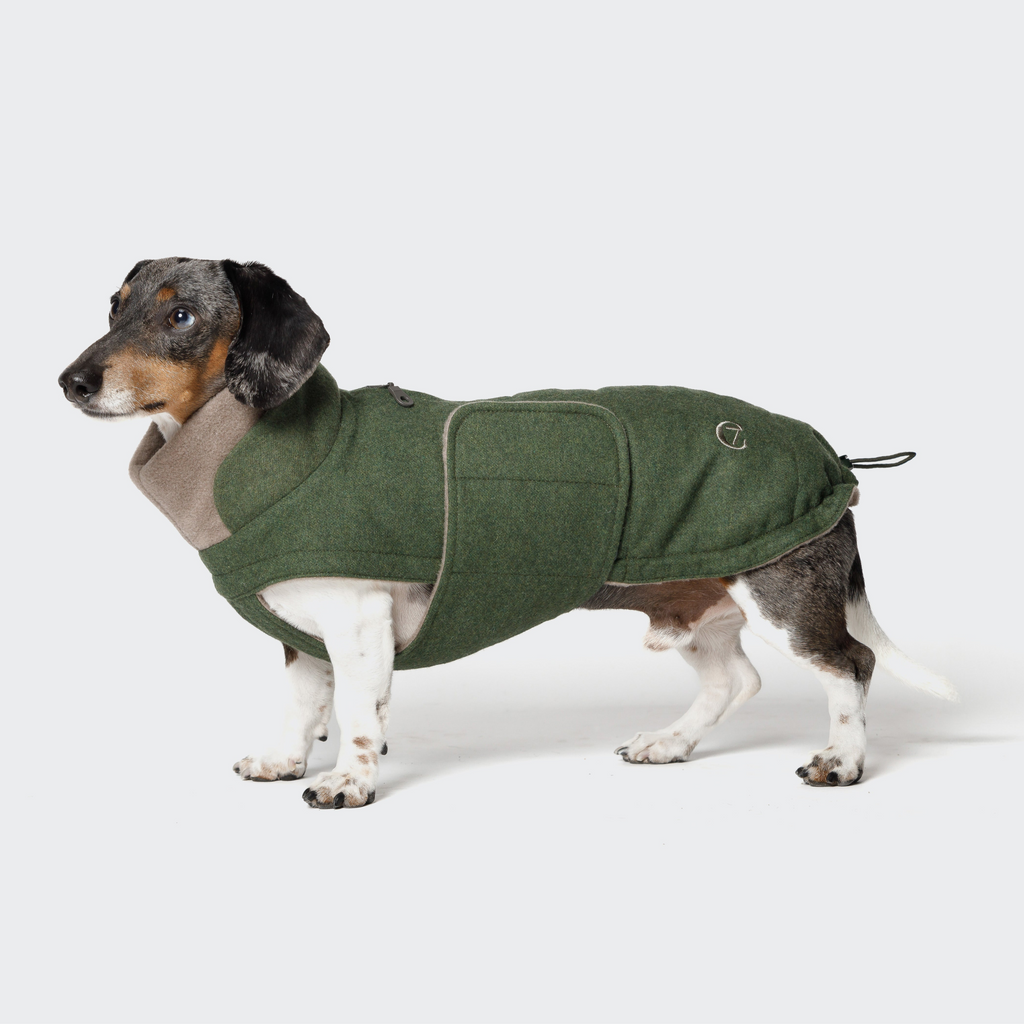 Dachshund Coat Brooklyn Flannel Fern Green product image