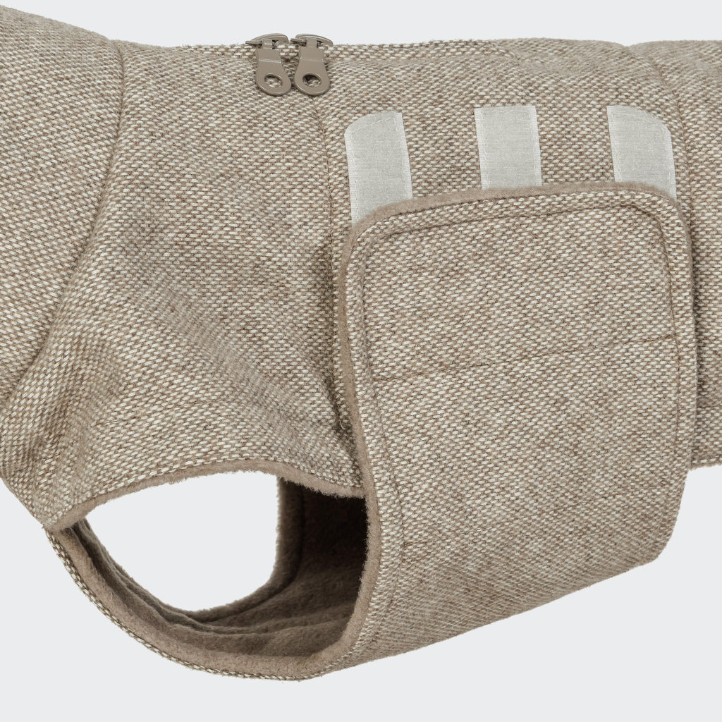 Dachshund Coat Brooklyn Tweed Beige product image