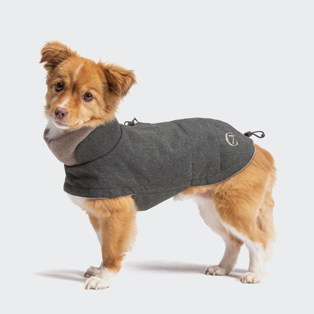Dog Coat Brooklyn Light Graphite product image