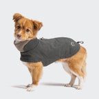 Dog Coat Brooklyn Light Graphite product image