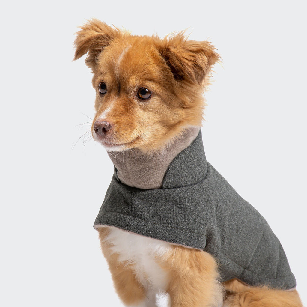 Dog Coat Brooklyn Light Graphite product image
