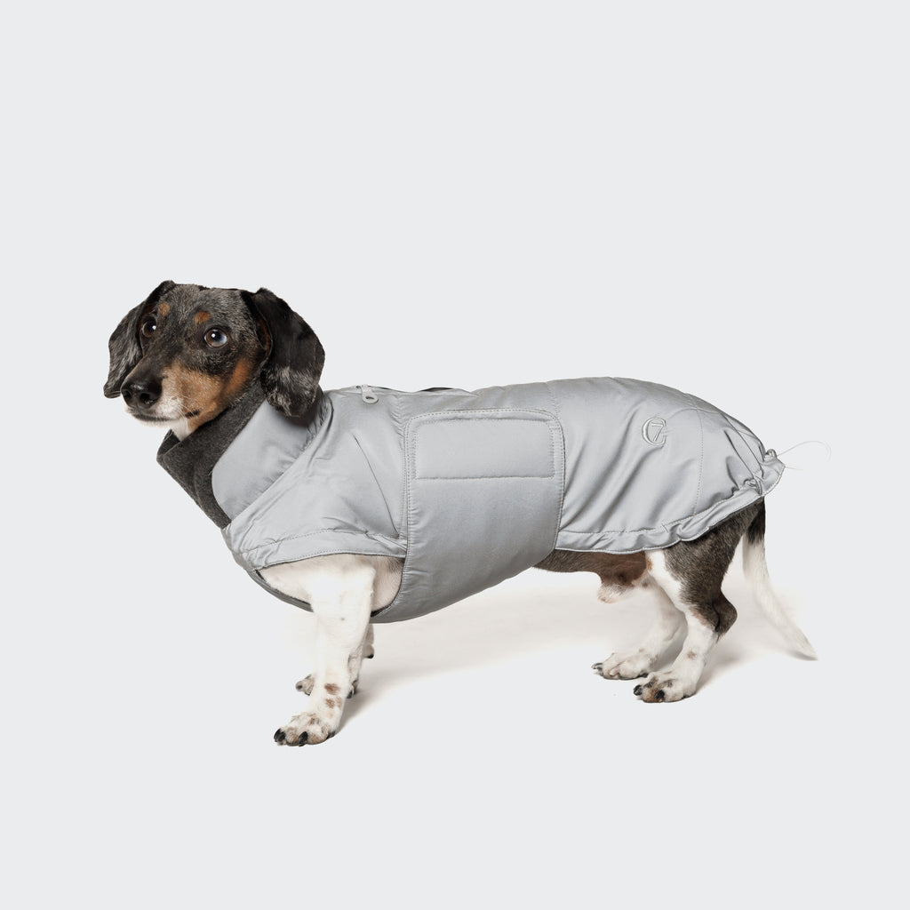 Dachshund Coat Brooklyn Reflective product image