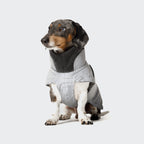Dachshund Coat Brooklyn Reflective product image