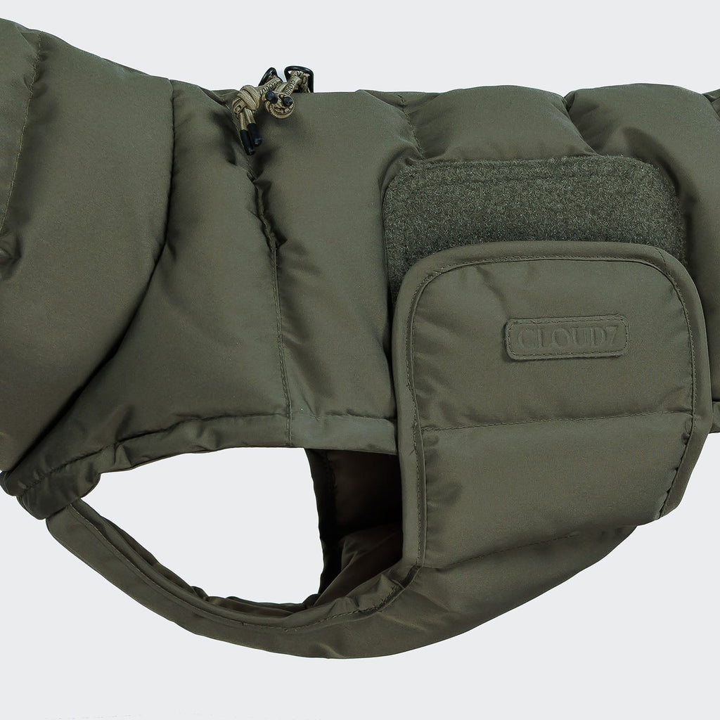 Dachshund Coat Alaska Light Olive product image