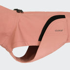 Dachshund Raincoat Dublin 2.0 Faded Rose product image