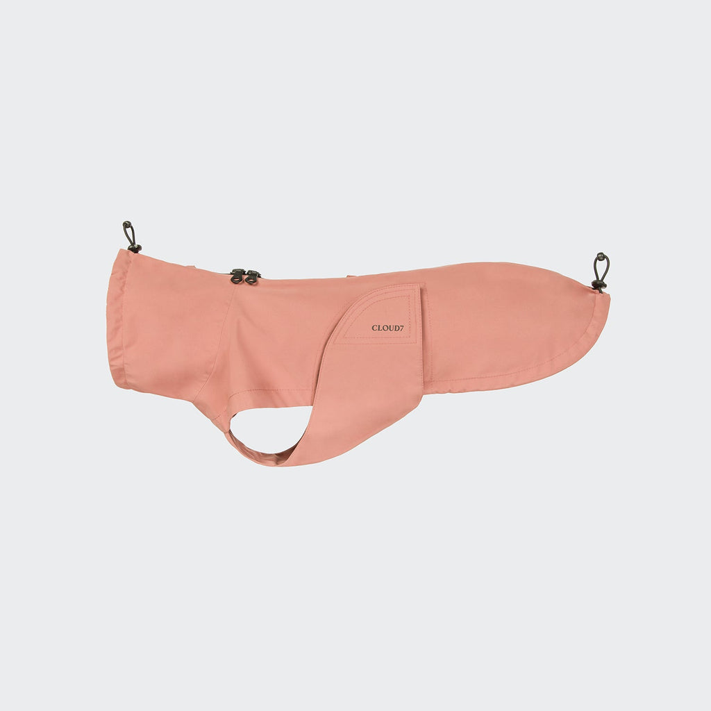 Dachshund Raincoat Dublin 2.0 Faded Rose product image