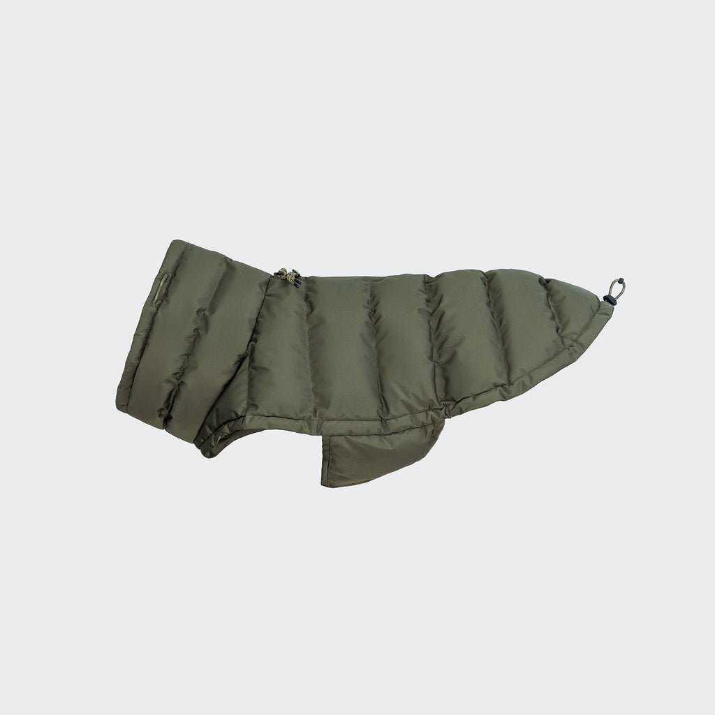 French Bulldog Coat Alaska Light Olive product image