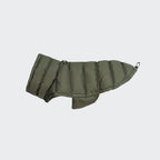 French Bulldog Coat Alaska Light Olive product image