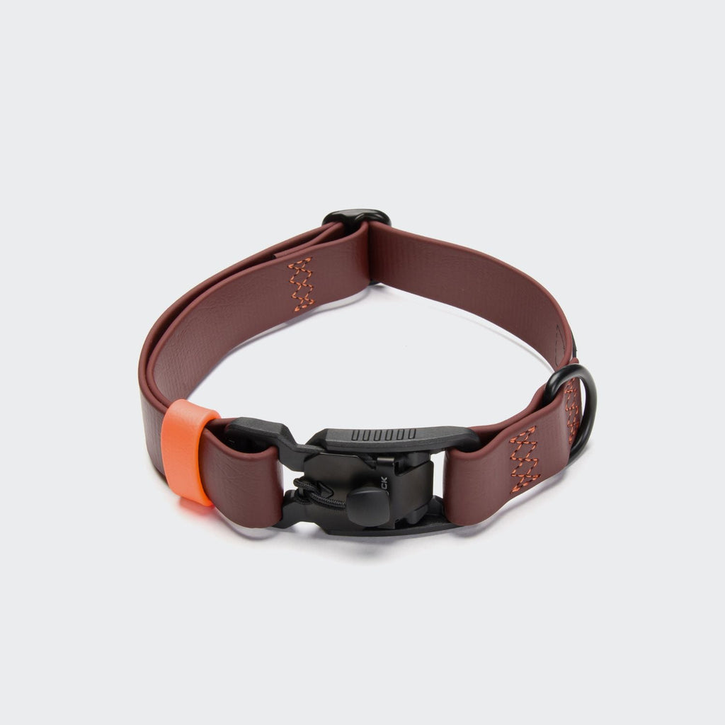 Dog Collar BioThane Ipanema Dark Aubergine product image