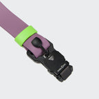 Dog Collar BioThane Ipanema Lilac product image