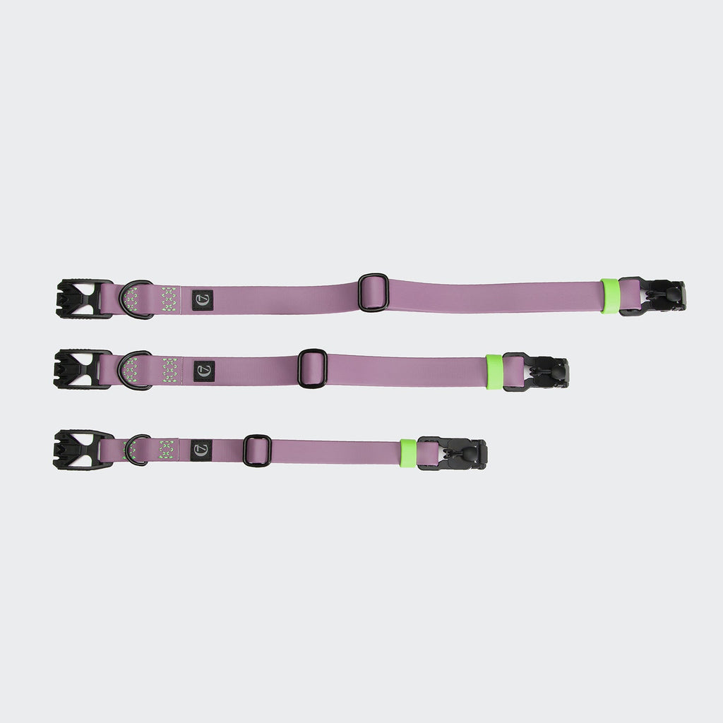 Dog Collar BioThane Ipanema Lilac product image