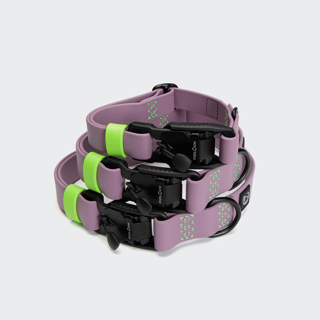 Dog Collar BioThane Ipanema Lilac product image
