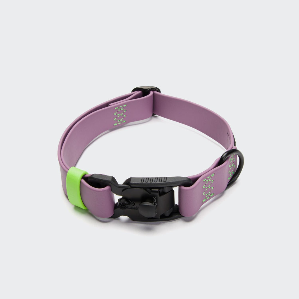 Dog Collar BioThane Ipanema Lilac product image