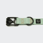 Dog Collar BioThane Ipanema Mint-Neon Orange product image