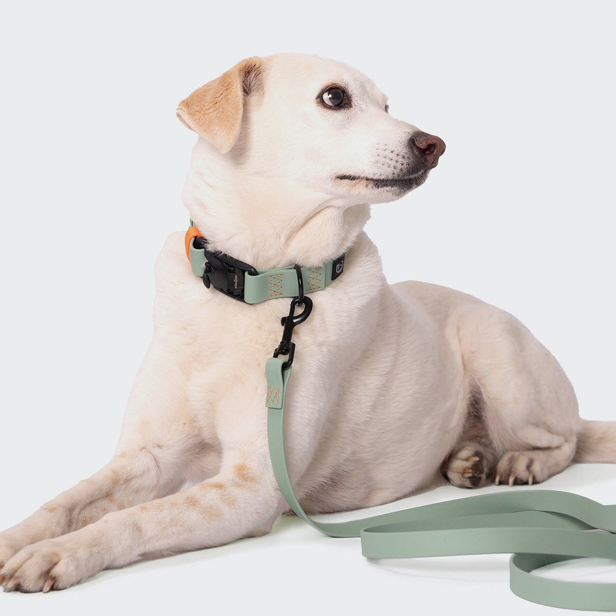 Dog Collar BioThane Ipanema Mint-Neon Orange product image
