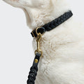 Dog Leash Riverside Park Black Gold product image