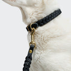Dog Leash Riverside Park Black Gold product image