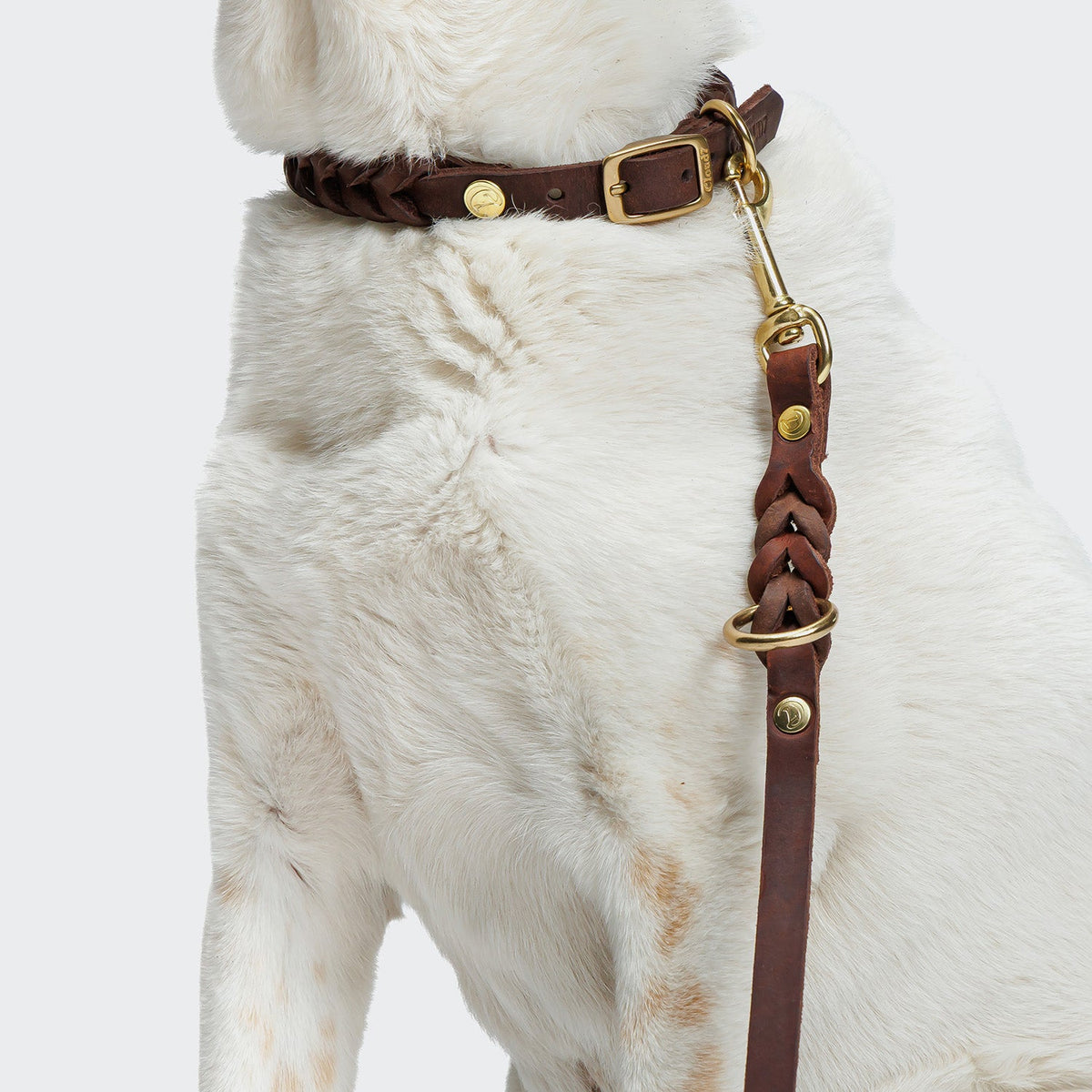 Dog Leash Riverside Park Saddle Brown Gold product image