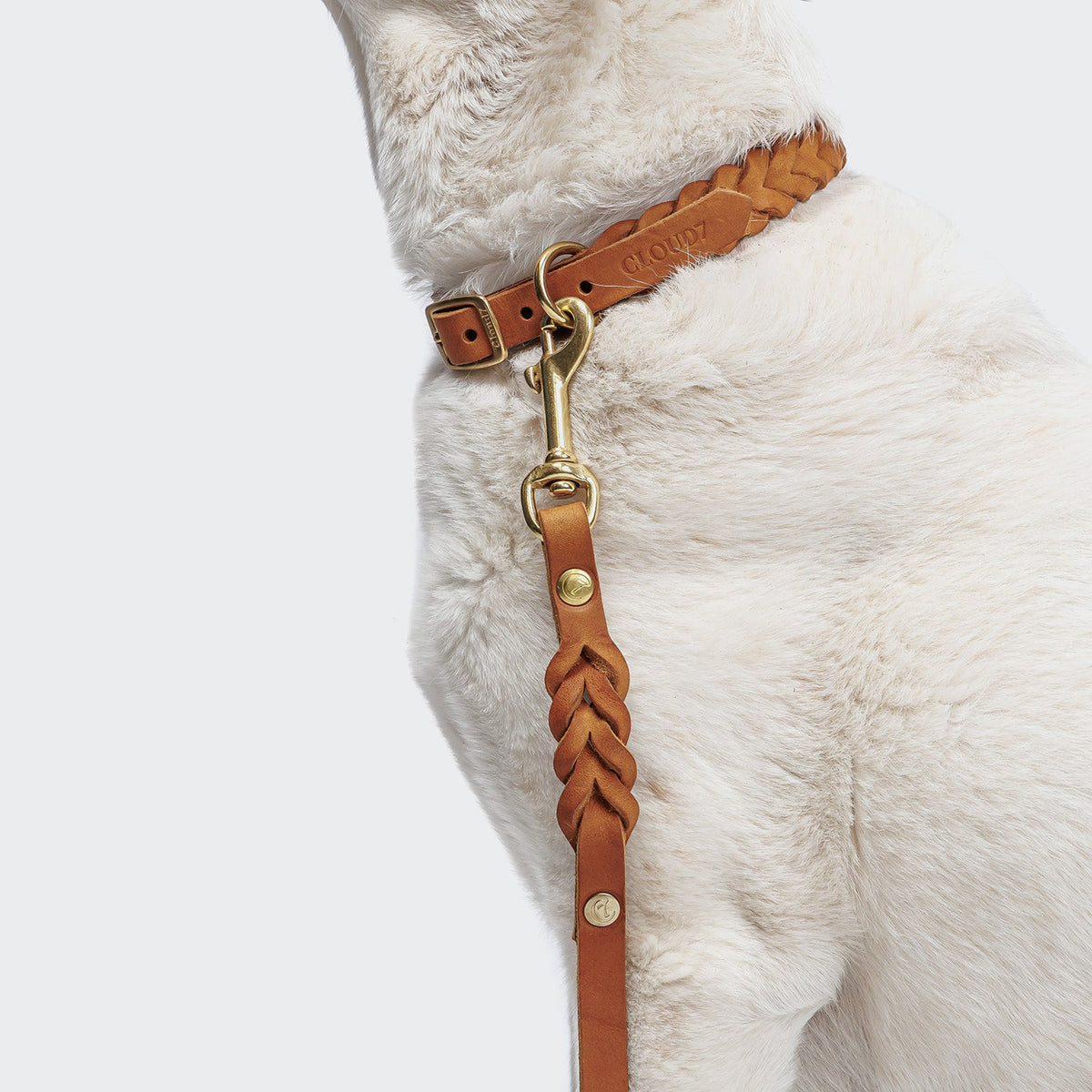 Dog Leash Riverside Park Camel Gold product image
