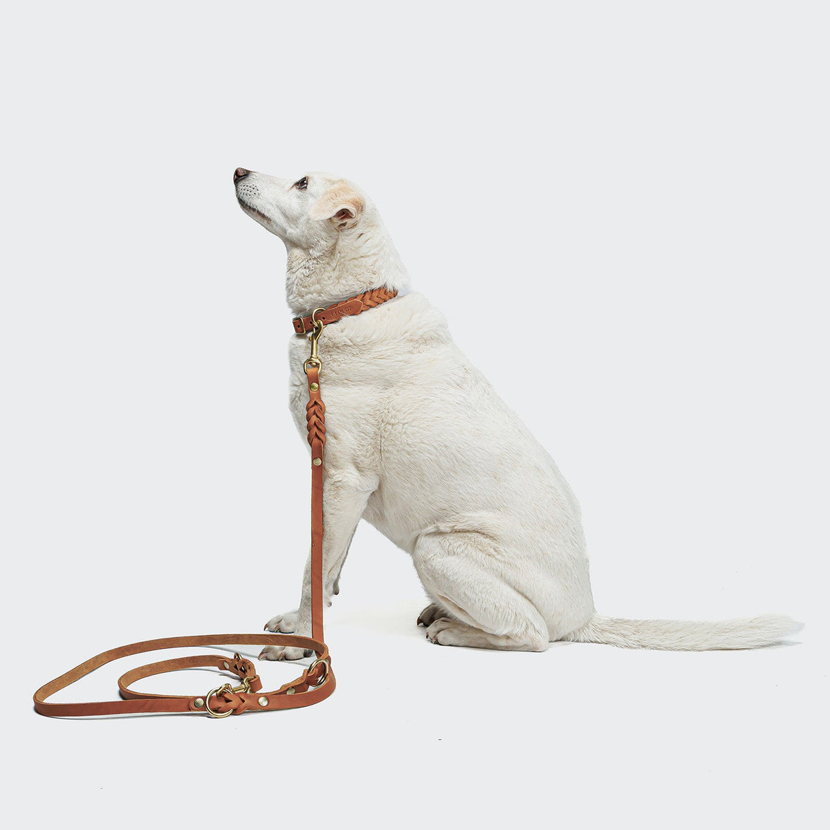 Dog Leash Riverside Park Camel Gold product image