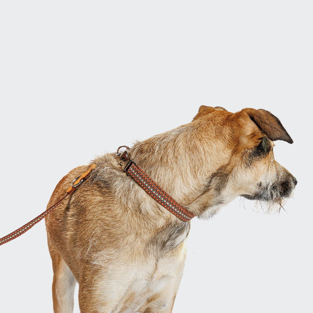Dog Leash Prater Sunset product image