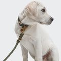 Dog Leash Ravello Moss product image