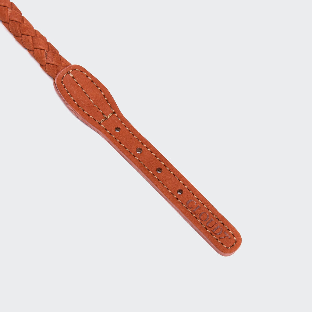 Dog Collar Ravello Rust product image
