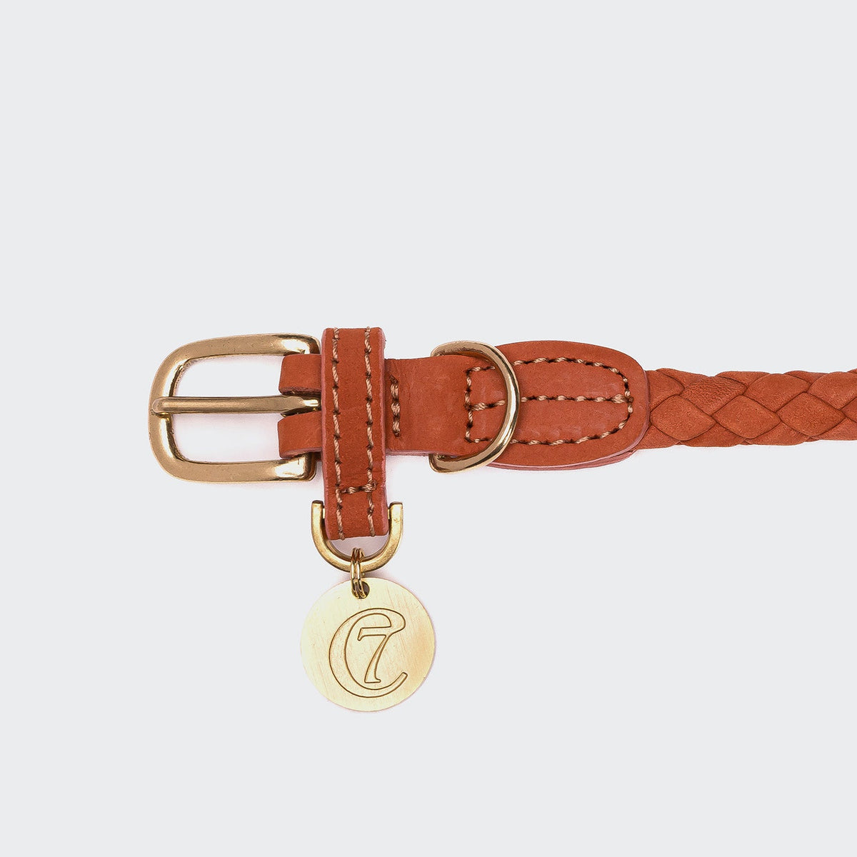 Dog Collar Ravello Rust product image